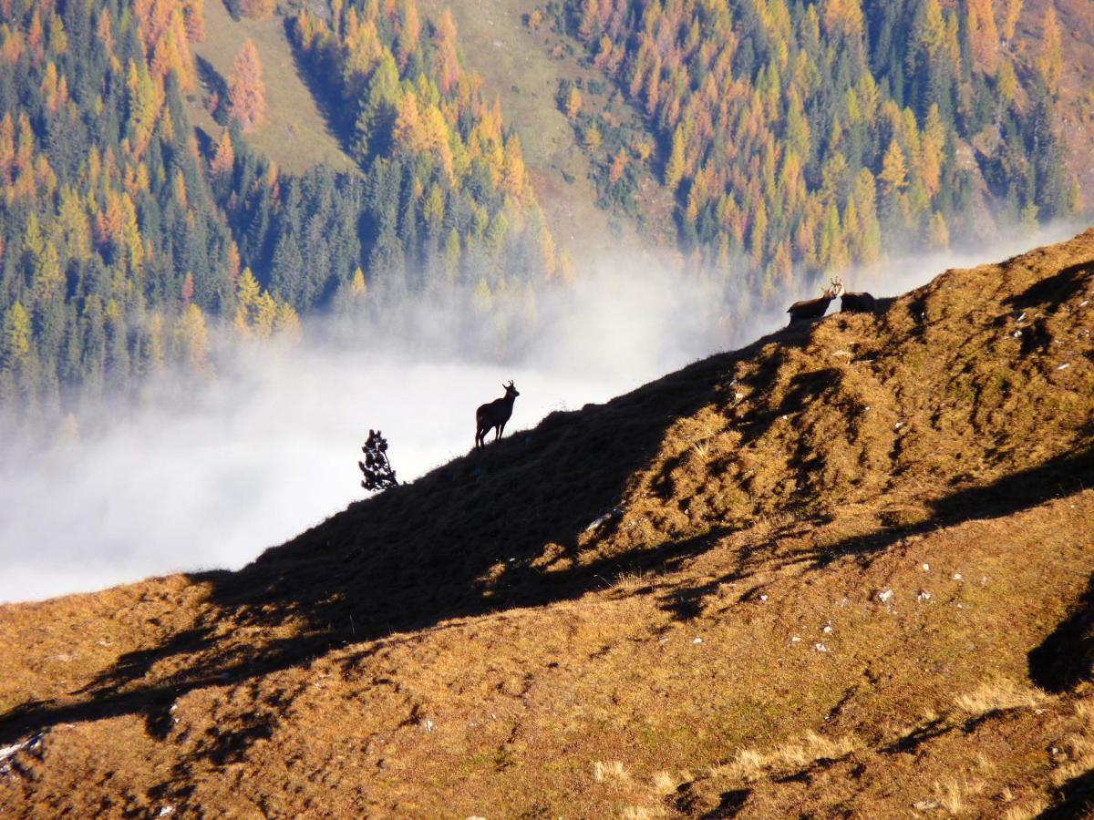 Apart Alpenflair Nauders Buitenkant foto